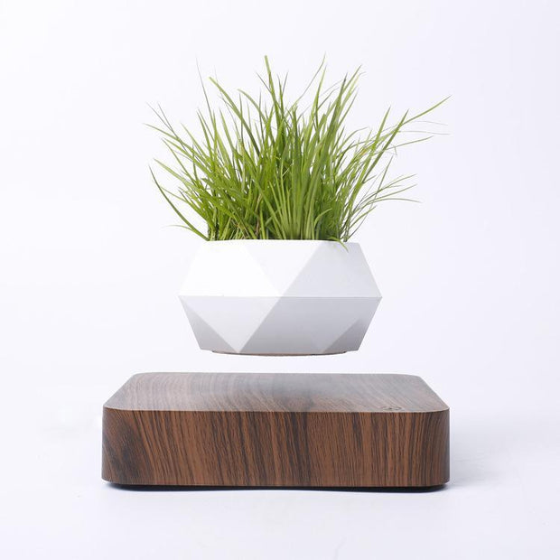 Ecovators Levitating Plant Pots - ketess