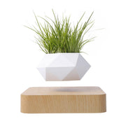Ecovators Levitating Plant Pots - ketess