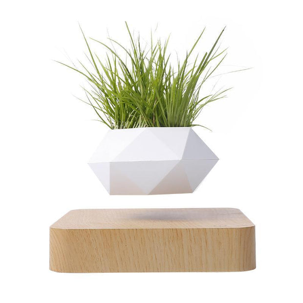 Ecovators Levitating Plant Pots - ketess
