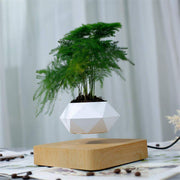 Ecovators Levitating Plant Pots - ketess