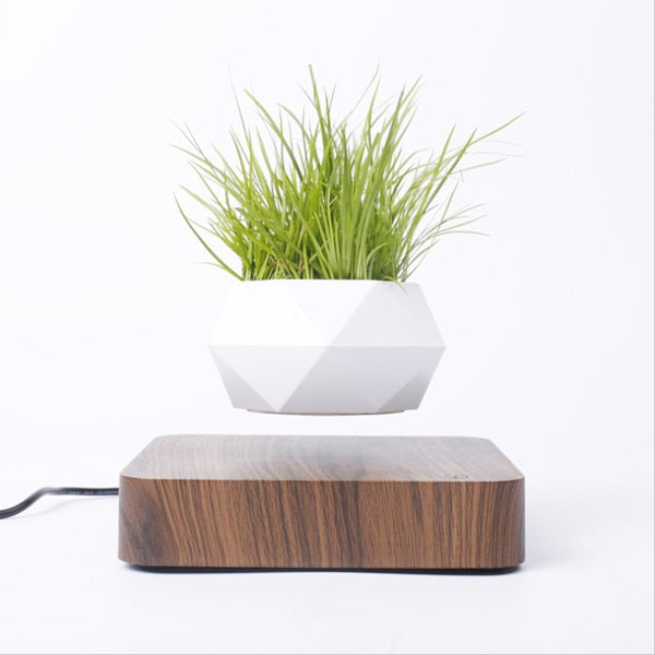 Ecovators Levitating Plant Pots - ketess