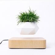 Ecovators Levitating Plant Pots - ketess