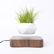 Ecovators Levitating Plant Pots - ketess
