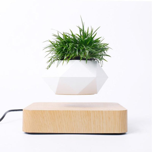 Ecovators Levitating Plant Pots - ketess