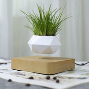 Ecovators Levitating Plant Pots - ketess