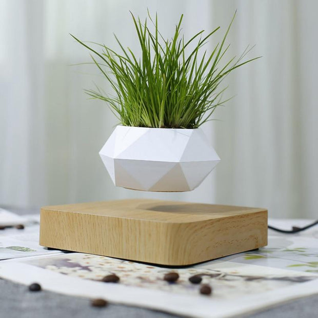 Ecovators Levitating Plant Pots - ketess