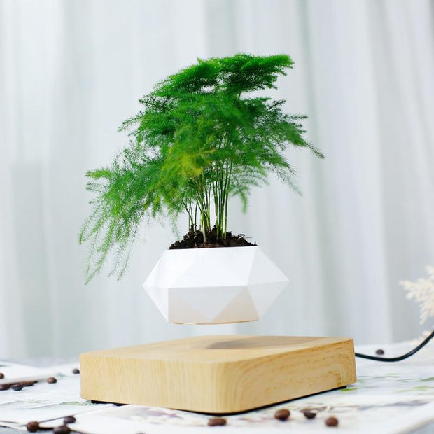 Ecovators Levitating Plant Pots - ketess