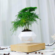 Ecovators Levitating Plant Pots - ketess