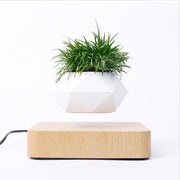 Ecovators Levitating Plant Pots - ketess